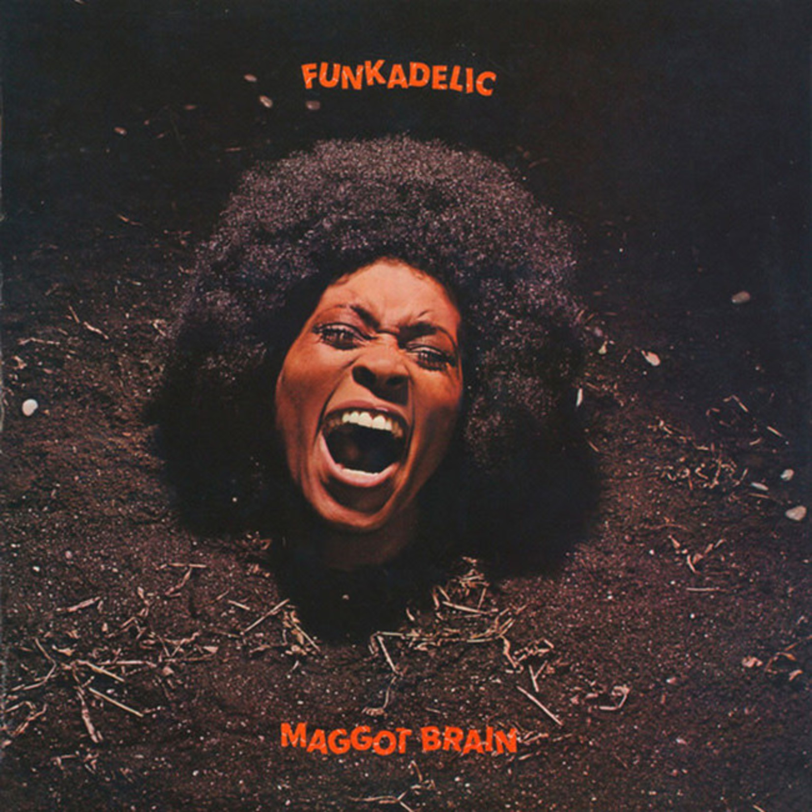 [New] Funkadelic - Maggot Brain