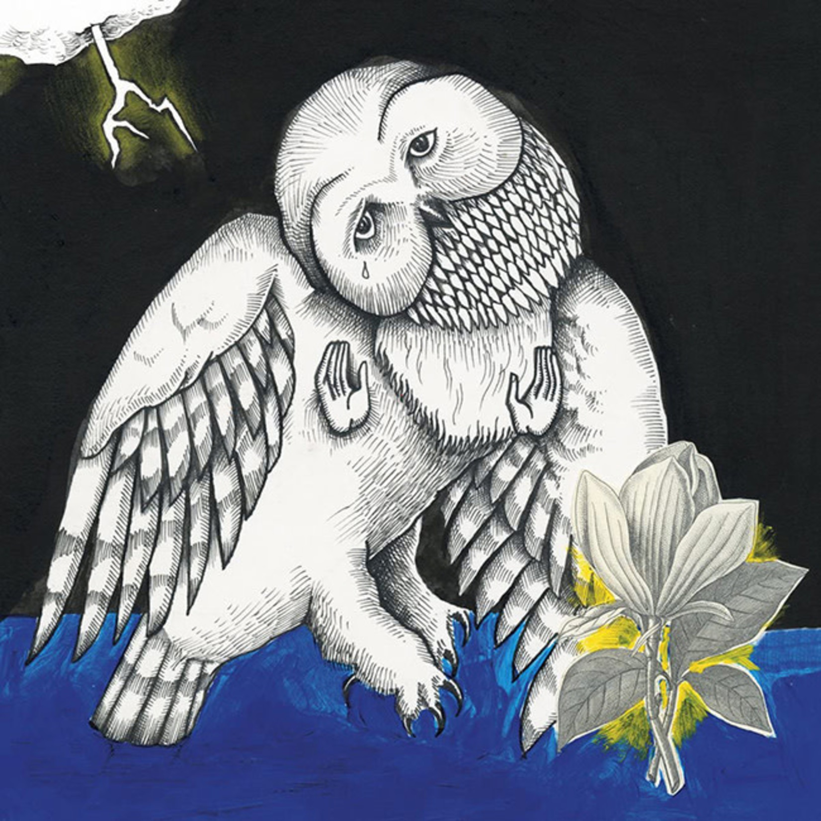 [New Vinyl] Songs - Ohia: Magnolia Electric Co. (2LP, 10th Anniversary Edition)