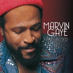 [New] Marvin Gaye - Collected (2LP)