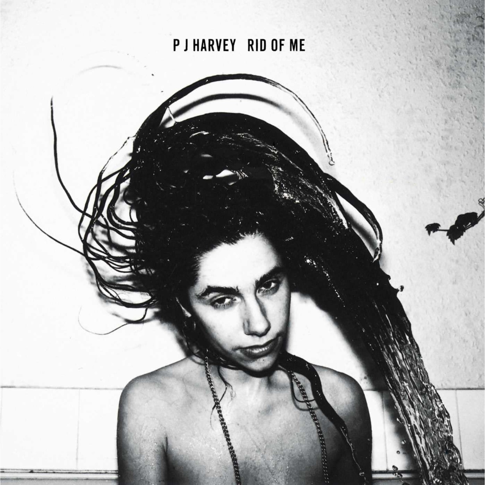 [New] P.J. Harvey - Rid of Me