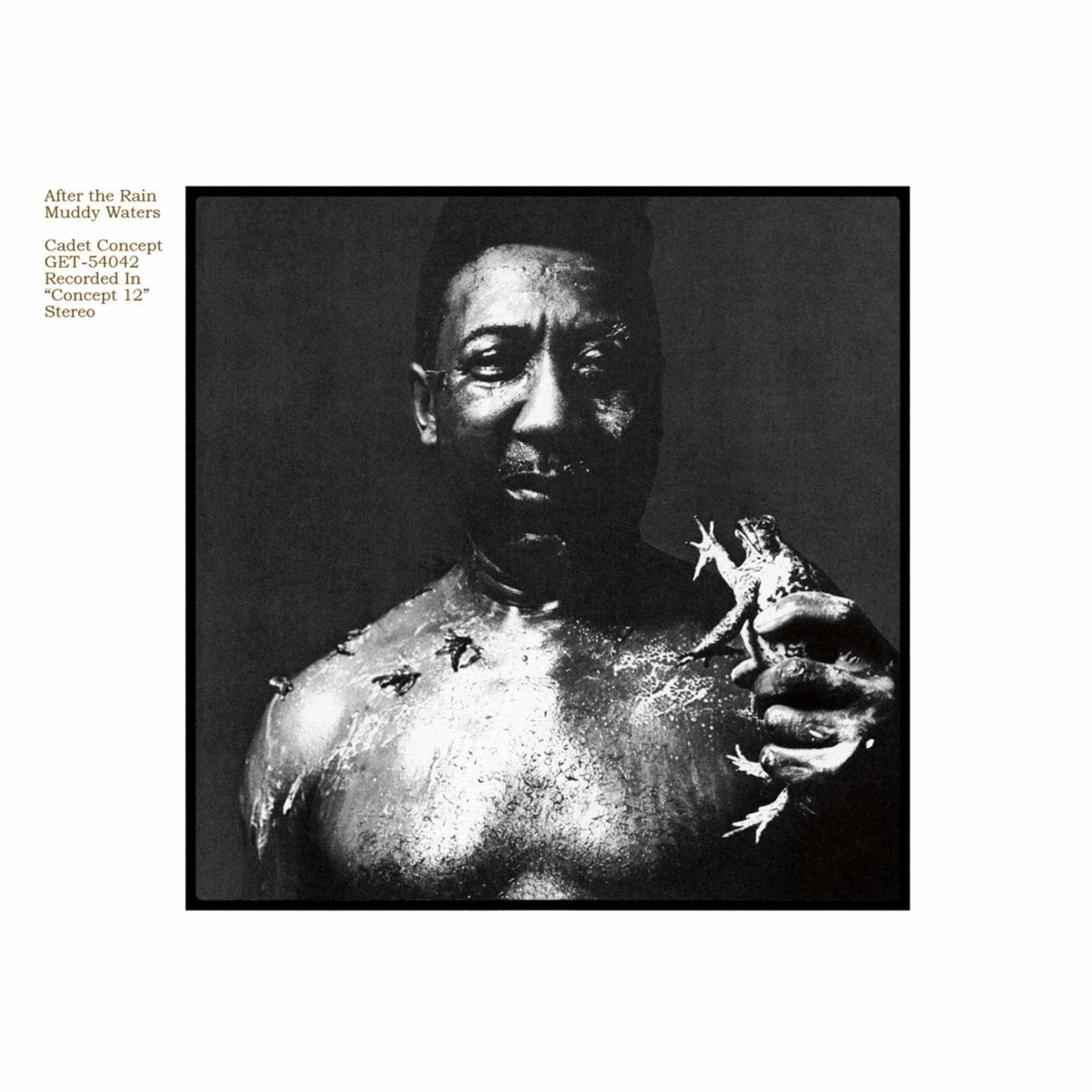 [New] Muddy Waters - After The Rain
