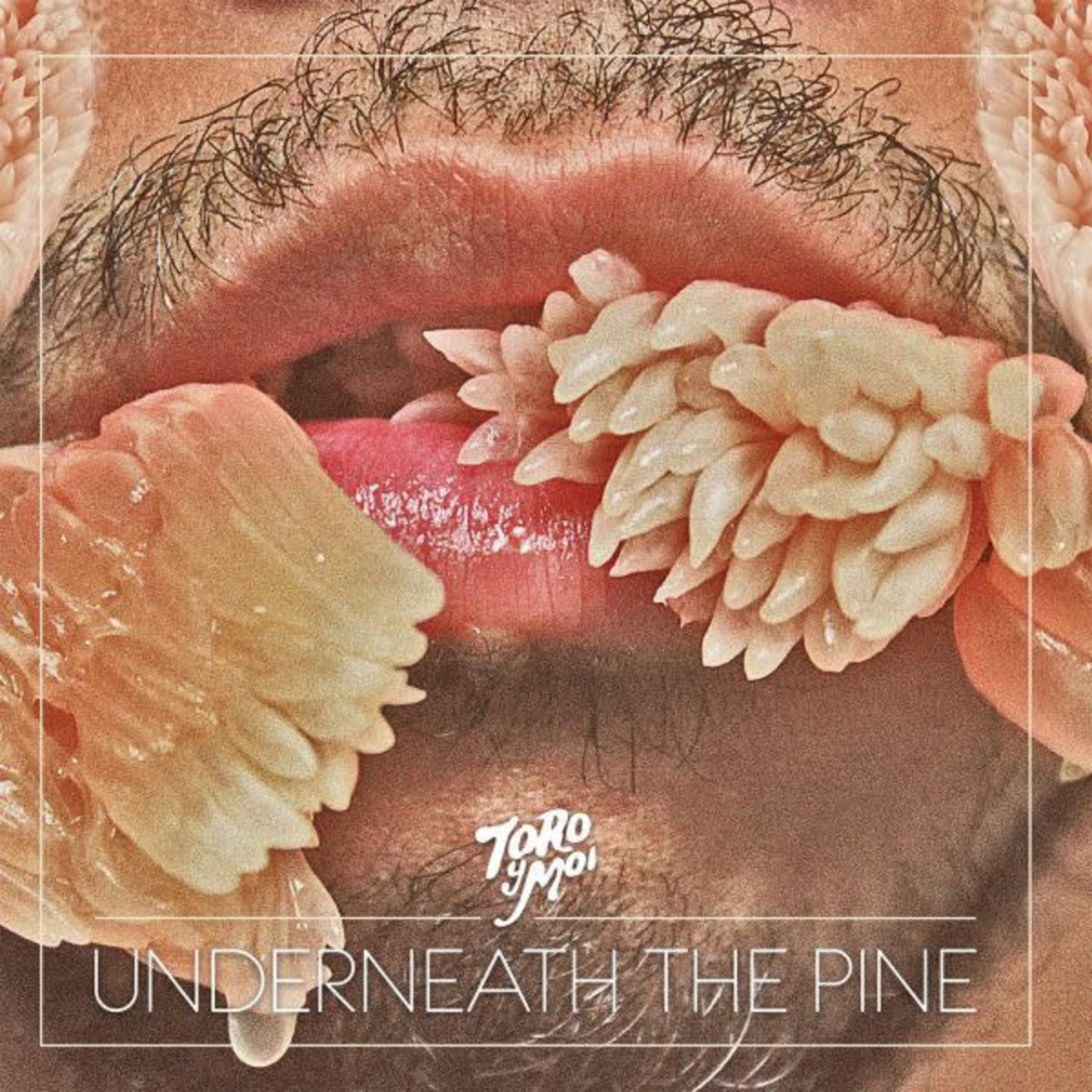 [New Vinyl] Toro Y Moi - Underneath the Pine