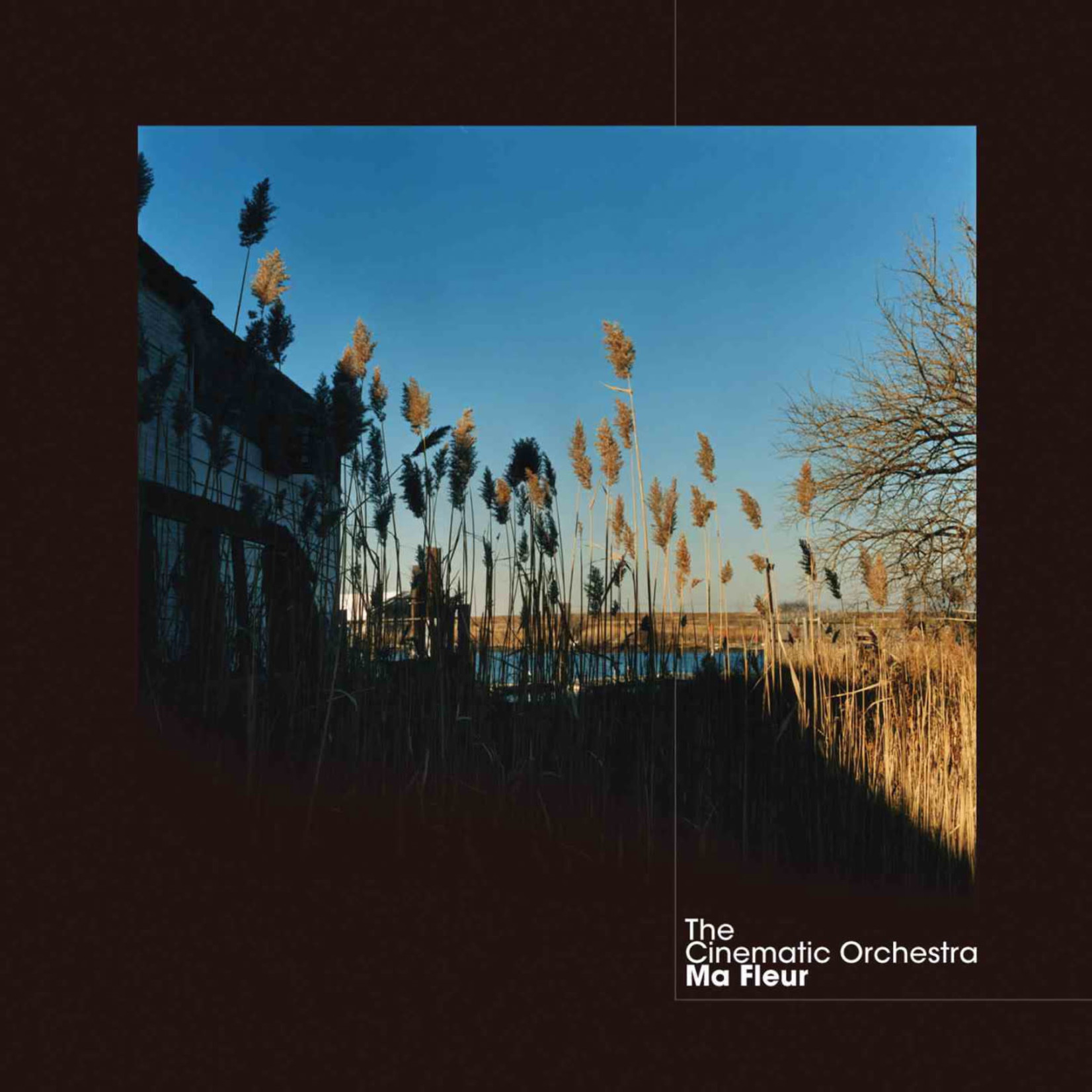 [New] The Cinematic Orchestra - Ma Fleur (2LP)