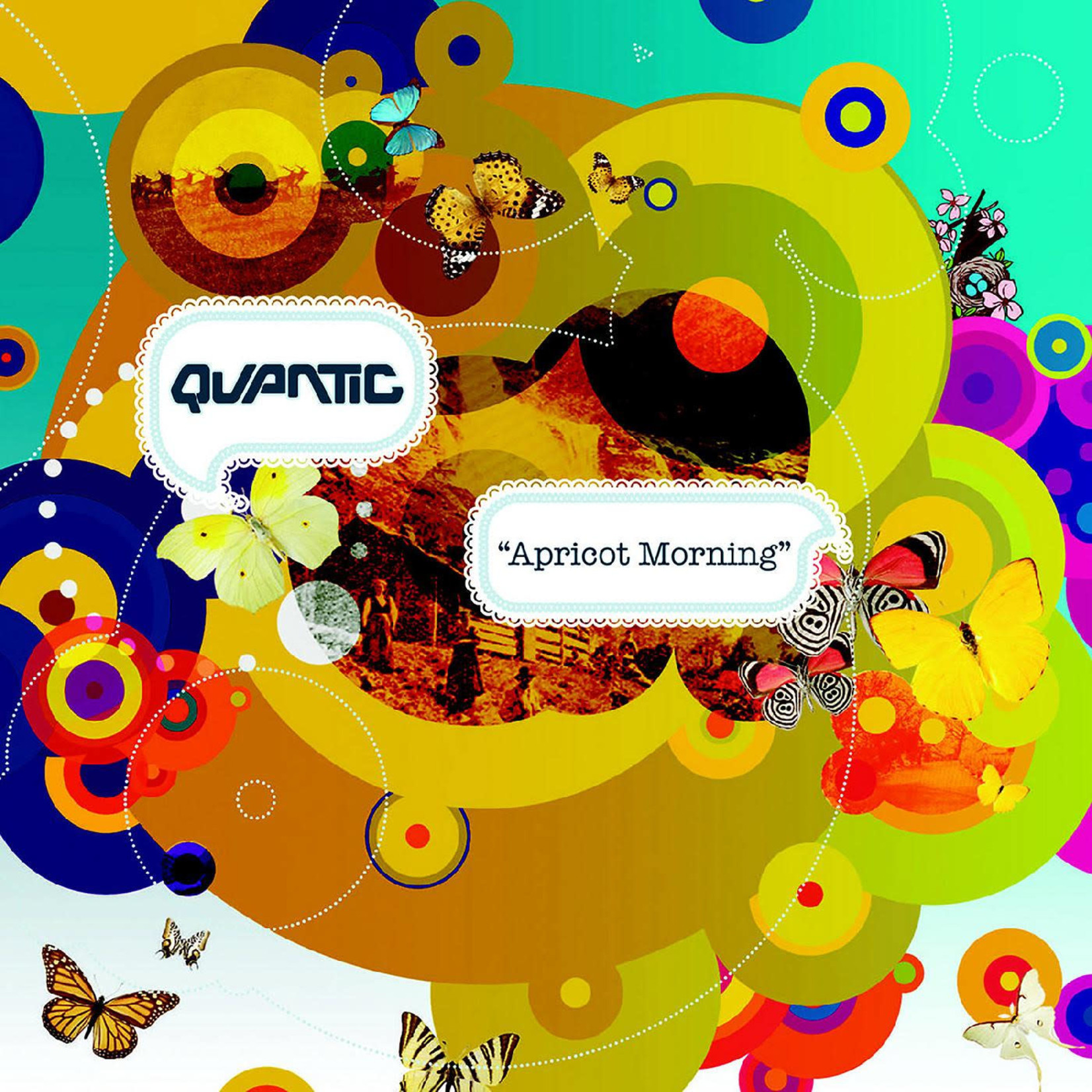 [New Vinyl] Quantic - Apricot Morning