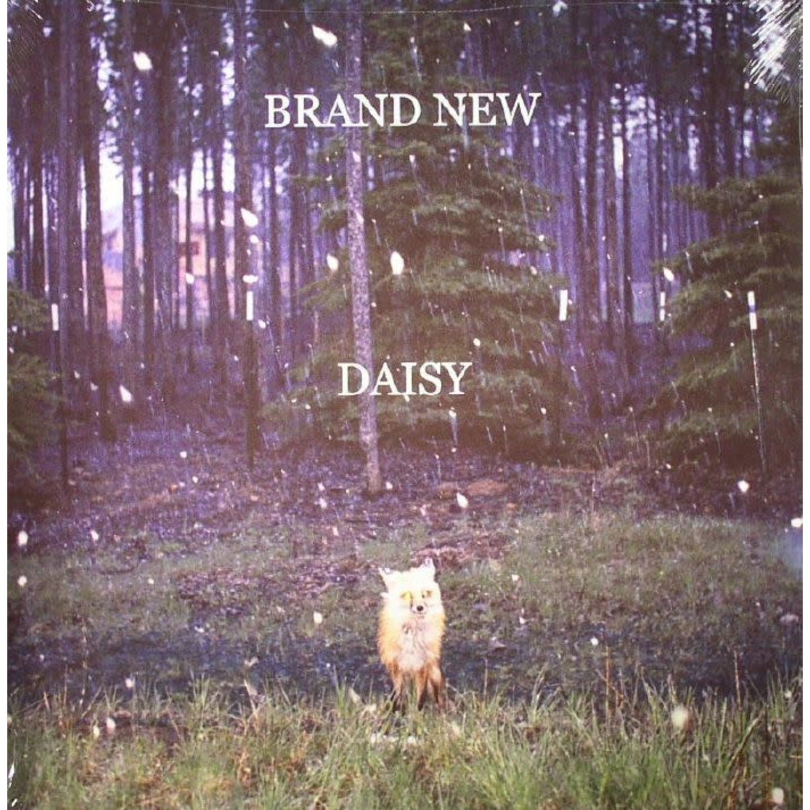 [New Vinyl] Brand New - Daisy