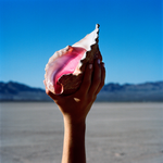 [New] Killers - Wonderful Wonderful