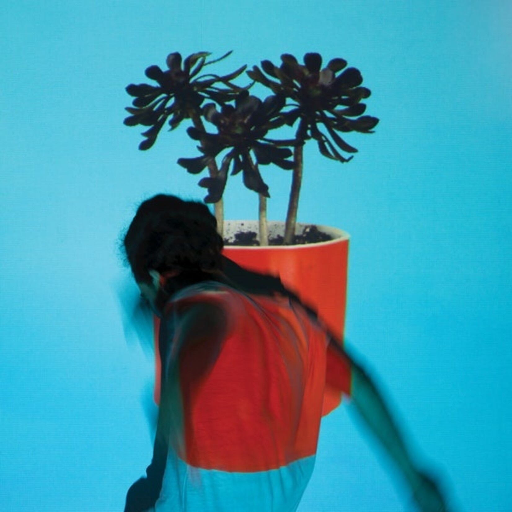 [New Vinyl] Local Natives - Sunlit Youth