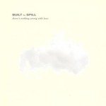 [New] Built To Spill - There's Nothing Wrong With Love