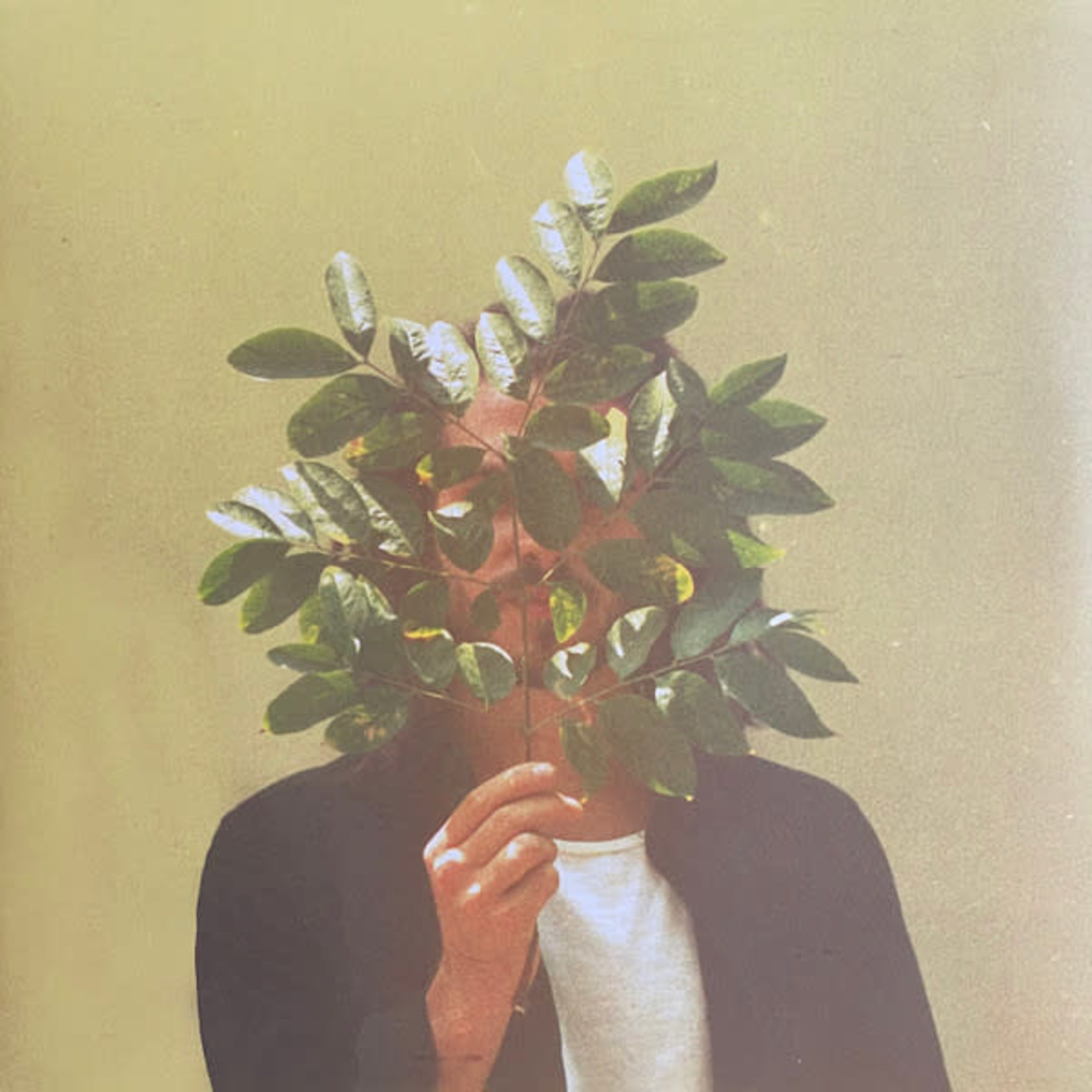 [New Vinyl] FKJ - French Kiwi Juice (2LP)