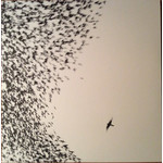 [New Vinyl] Wilco - SKY BLUE SKY (2LP+CD)