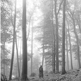 Swift, Taylor: Folklore (2LP 