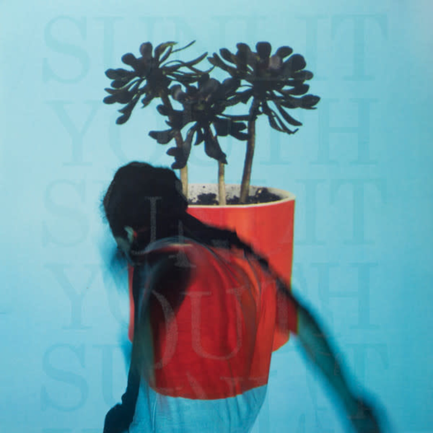[New Vinyl] Local Natives - Sunlit Youth