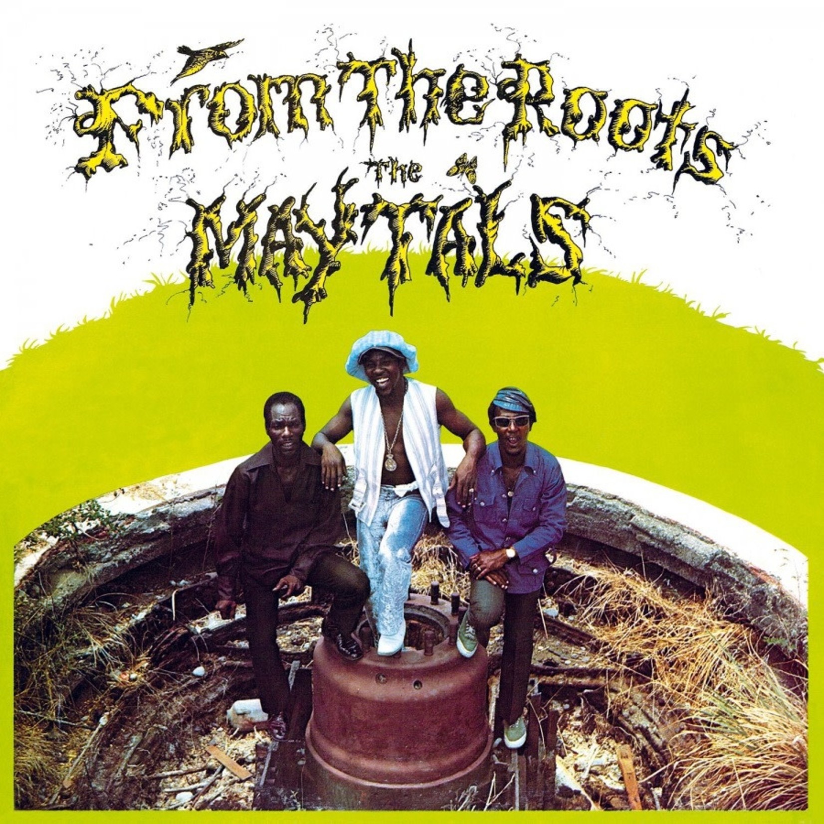 [New] Maytals - From the Roots