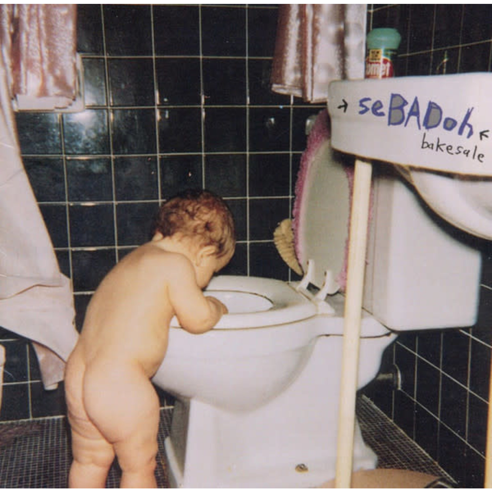 [New Vinyl] Sebadoh - Bakesale (deluxe edition)