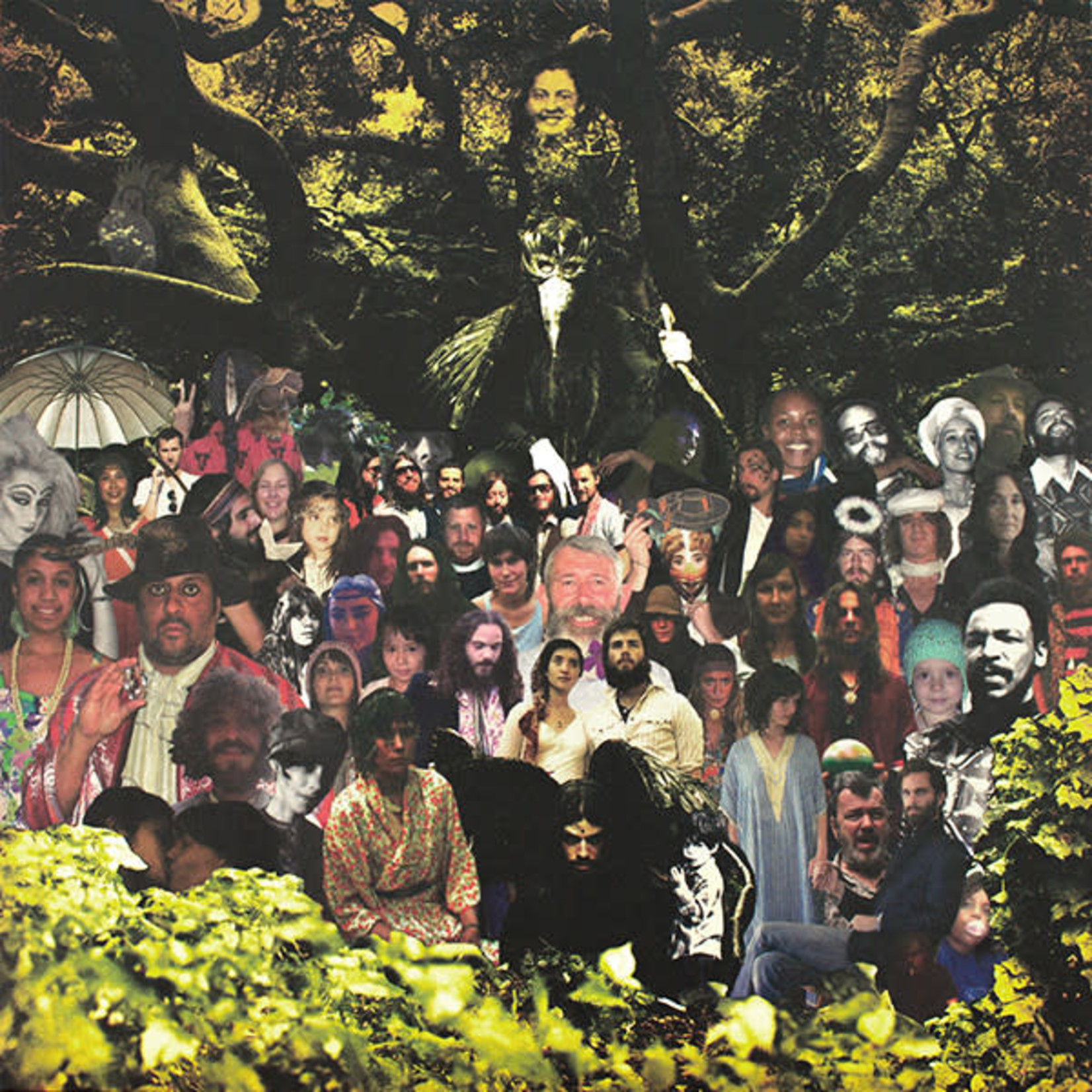 [New Vinyl] Devendra Banhart - Cripple Crow (2LP)