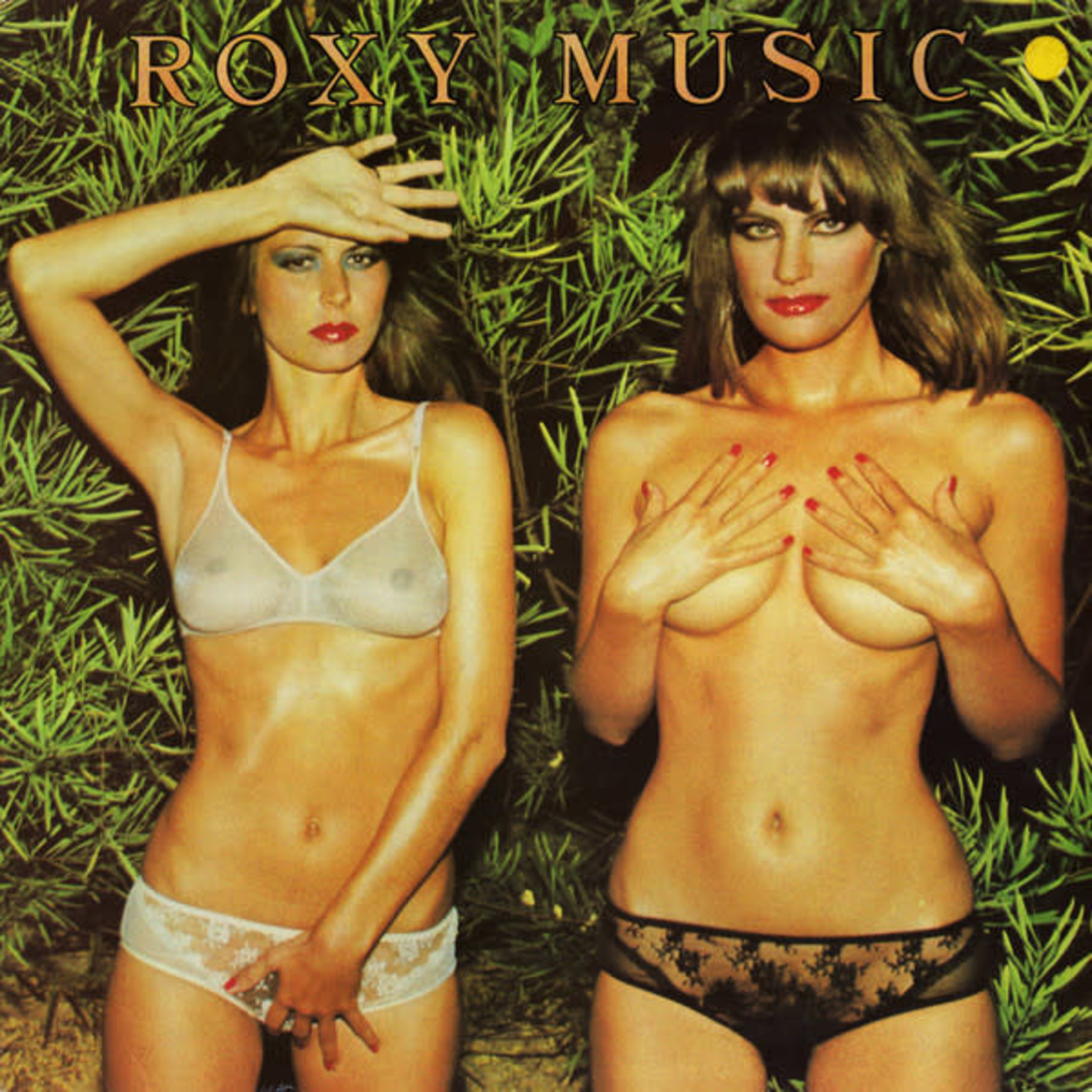 [New] Roxy Music - Country Life (Half-speed master/Gloss-laminated finish)