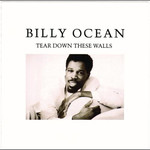 [Vintage Vinyl] Billy Ocean - Tear Down These Walls