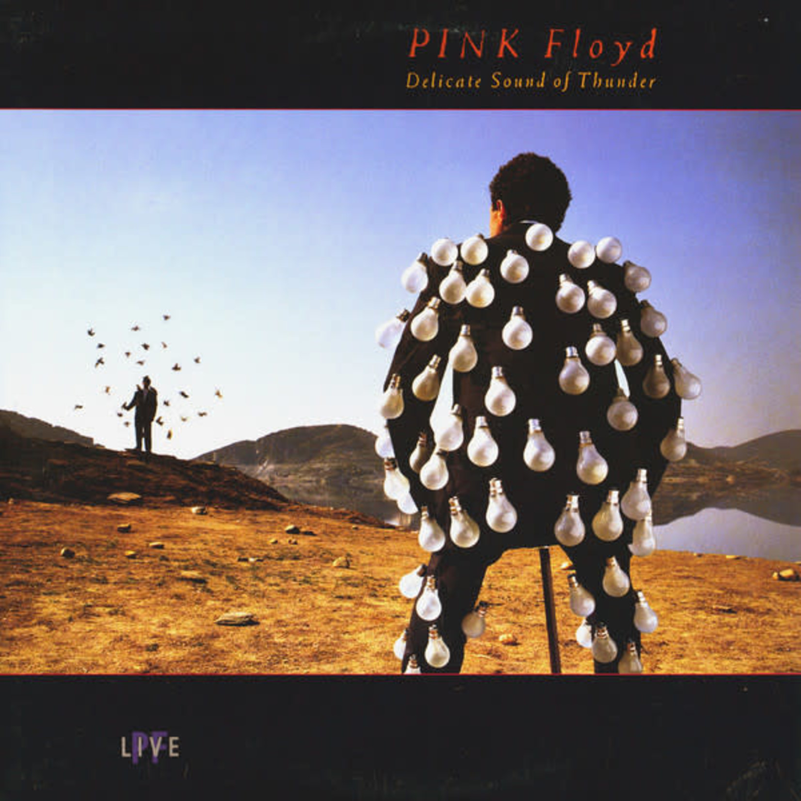 [Vintage Vinyl] Pink Floyd - Delicate Sound of Thunder (2LP)