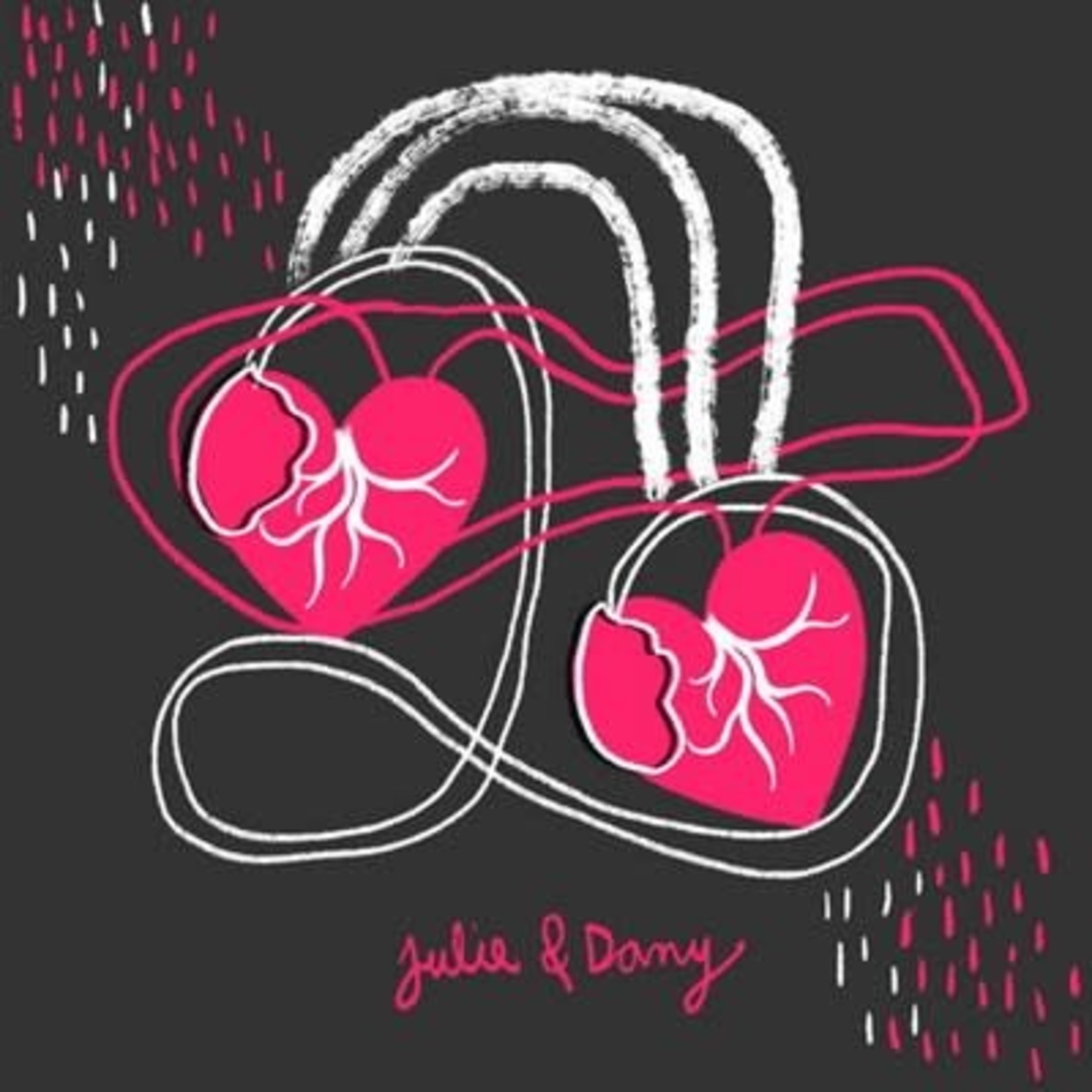 [New Vinyl] Julie Doiron & Dany Placard - Julie & Dany