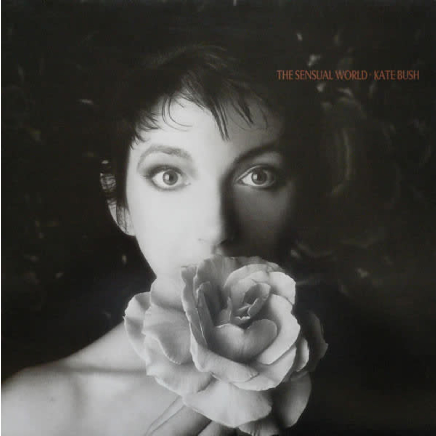 [Vintage Vinyl] Kate Bush - The Sensual World