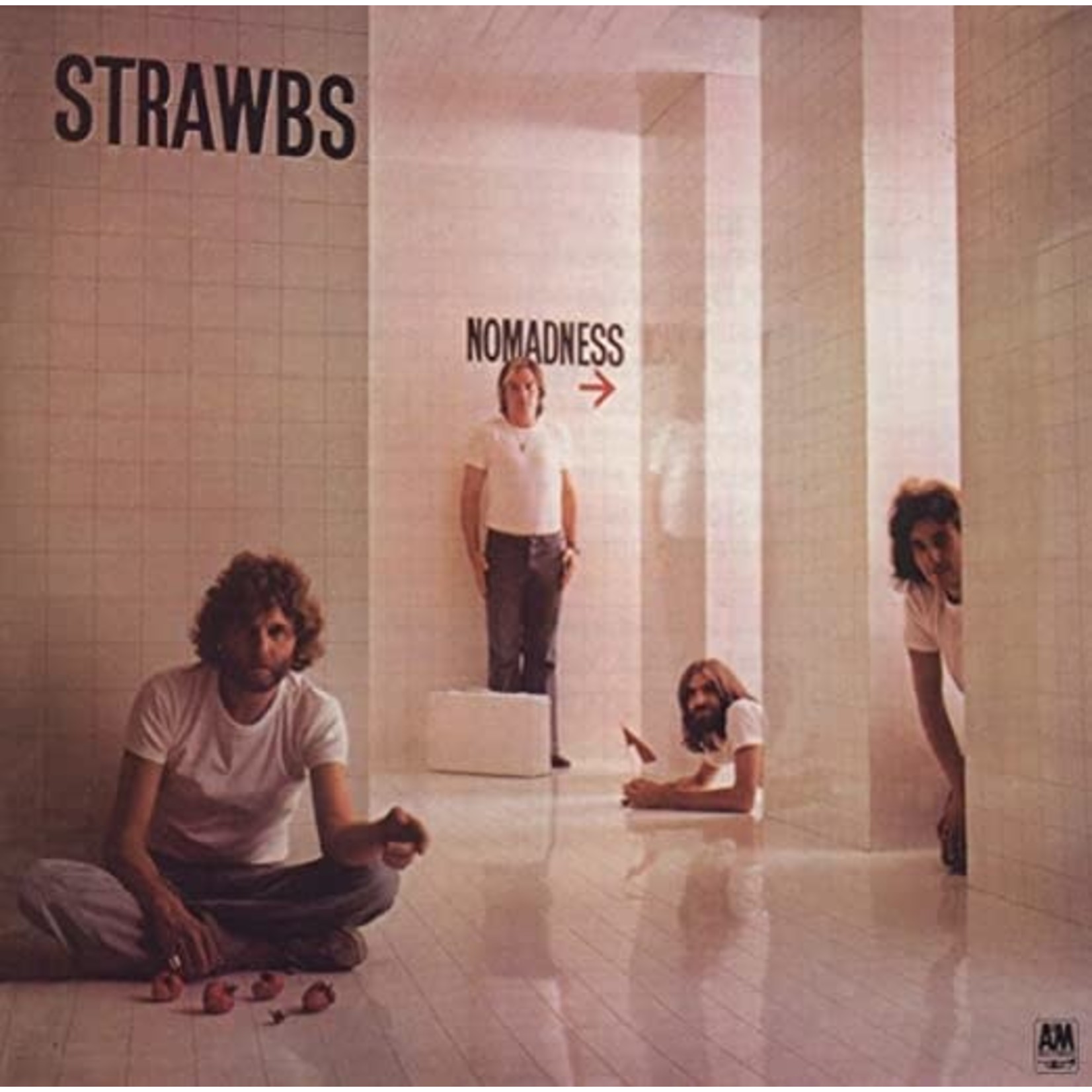 [Vintage Vinyl] Strawbs - Nomadness