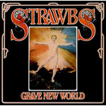 [Vintage] Strawbs - Grave New World