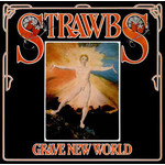 [Vintage Vinyl] Strawbs - Grave New World