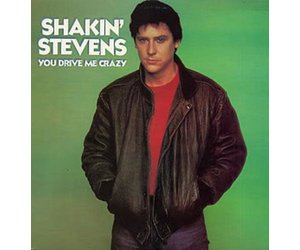vintage-shakin-stevens-you-