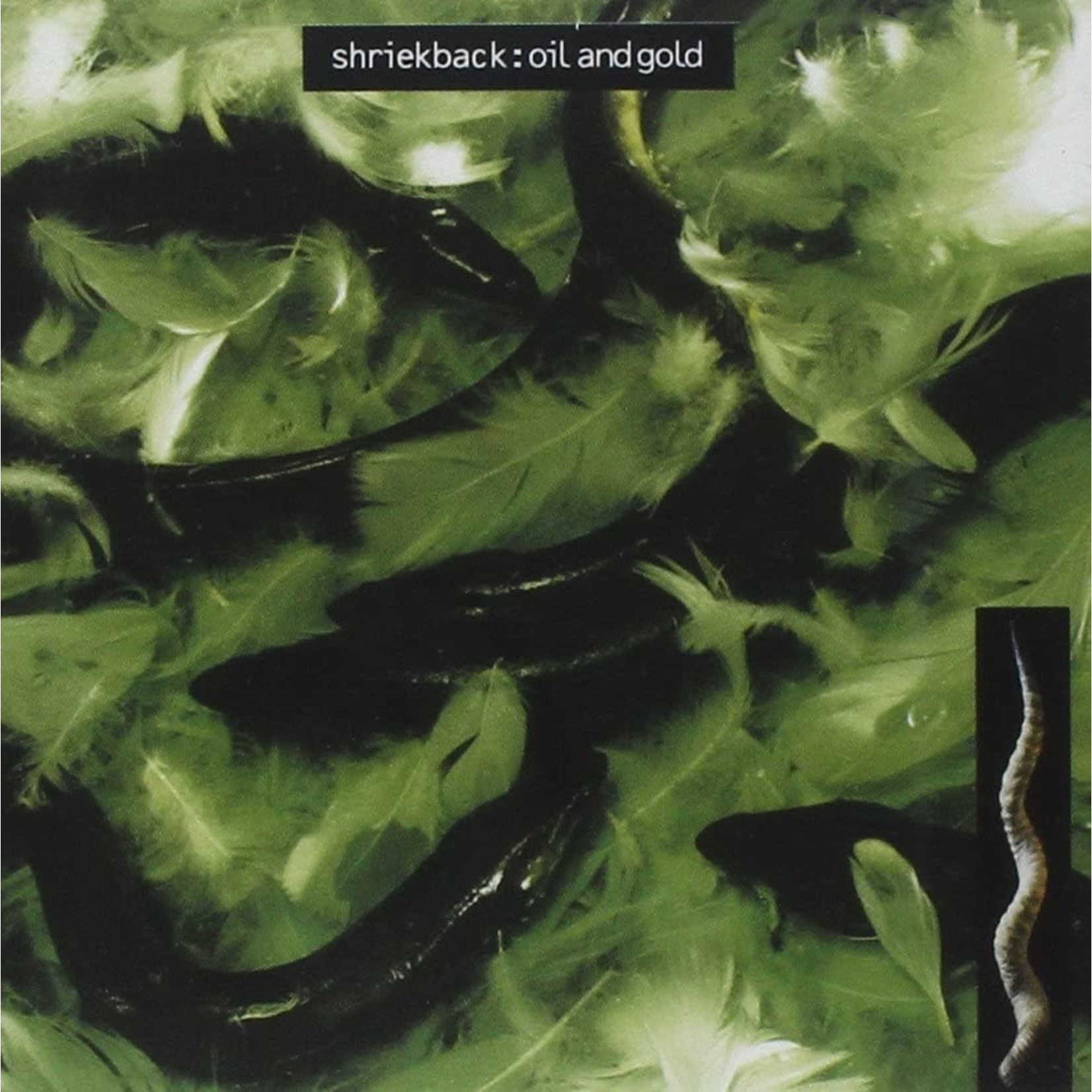 [Vintage Vinyl] Shriekback - Oil & Gold