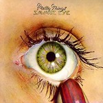 [Vintage] Pretty Things - Savage Eye
