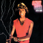 [Vintage] Andy  Gibb - After Dark