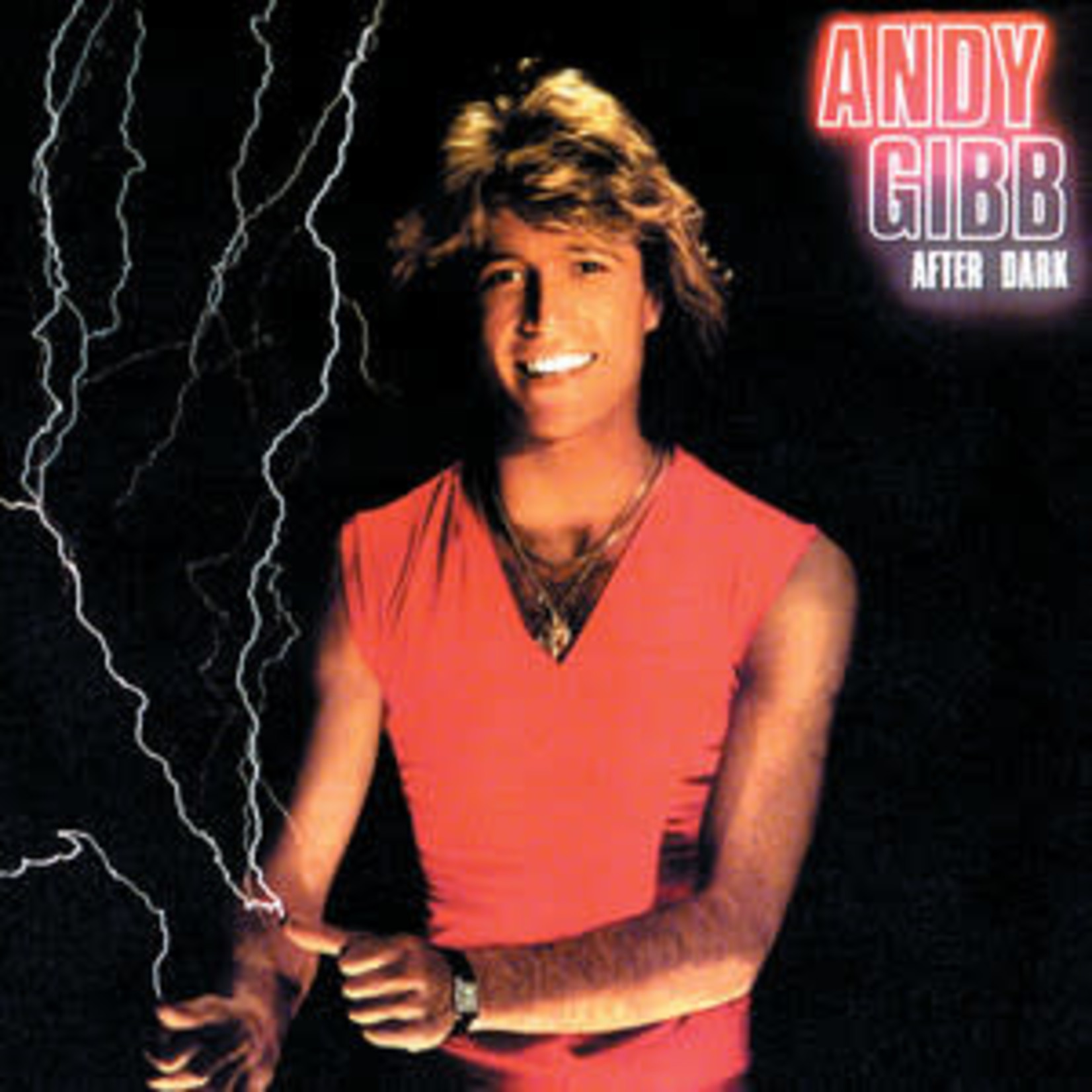 [Vintage Vinyl] Andy Gibb - After Dark