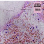 [New Vinyl] Soccer Mommy - Sometimes, Forever