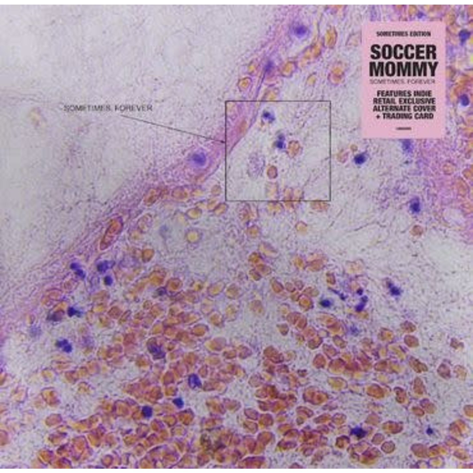 [New Vinyl] Soccer Mommy - Sometimes, Forever