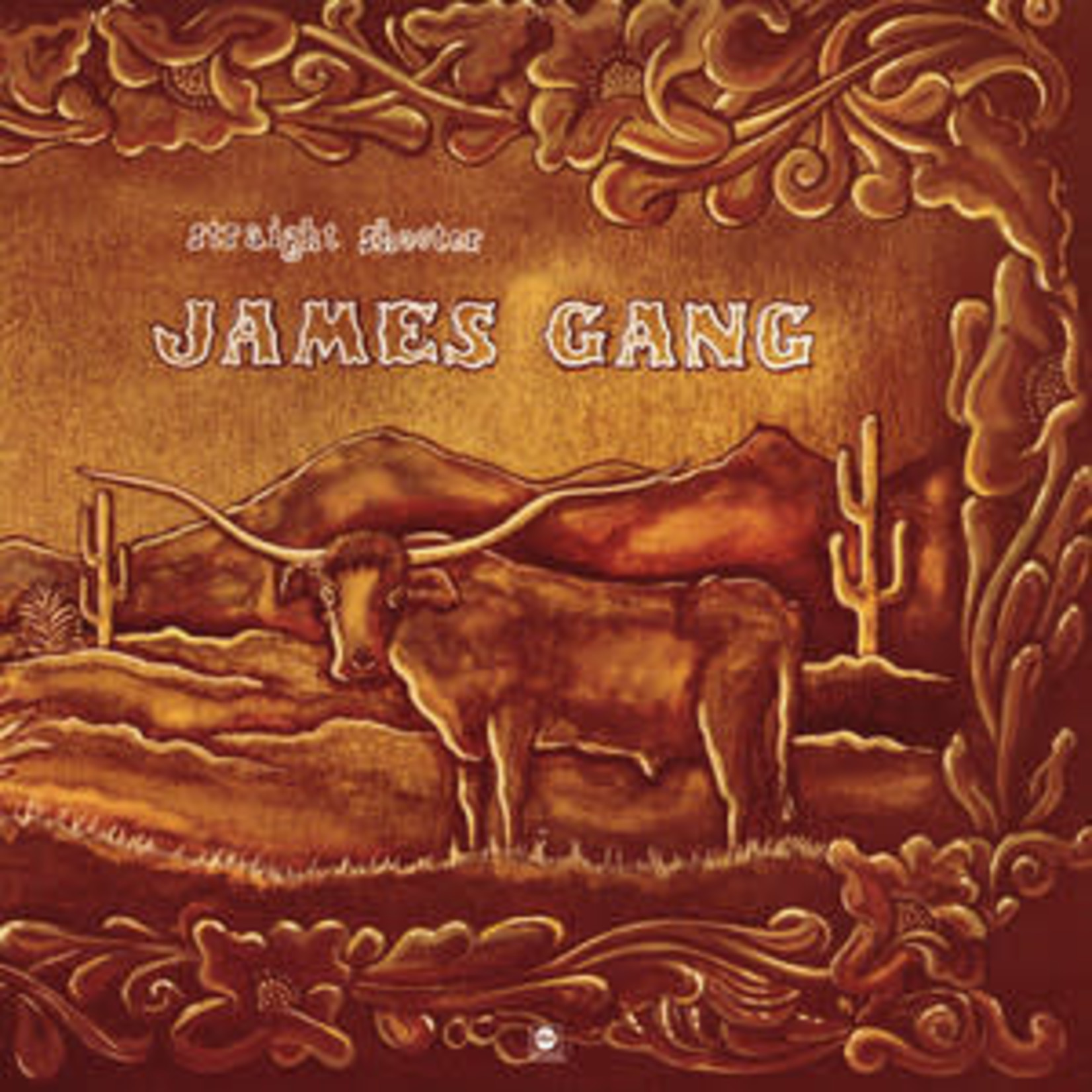 [Vintage Vinyl] James Gang - Straight Shooter