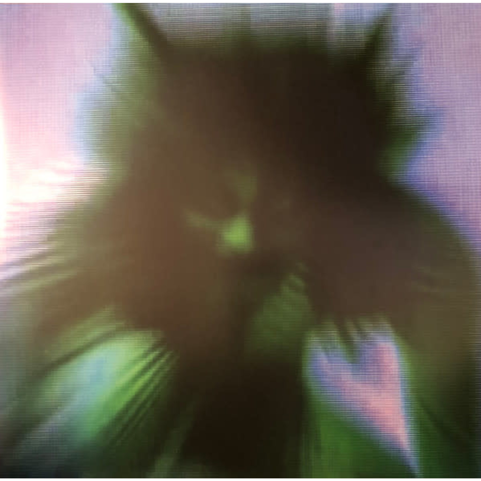 [New Vinyl] Yves Tumor - Safe in the Hands of Love