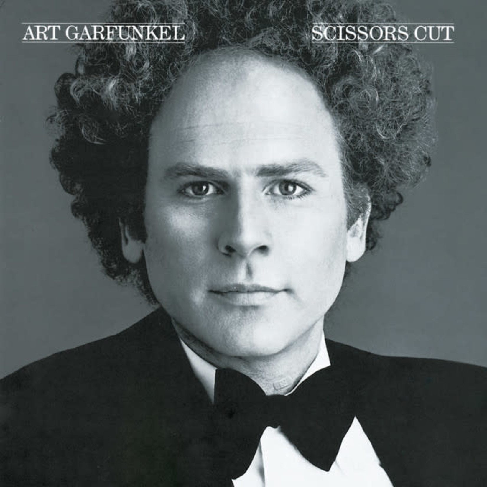 [Vintage] Art Garfunkel - Scissors Cut