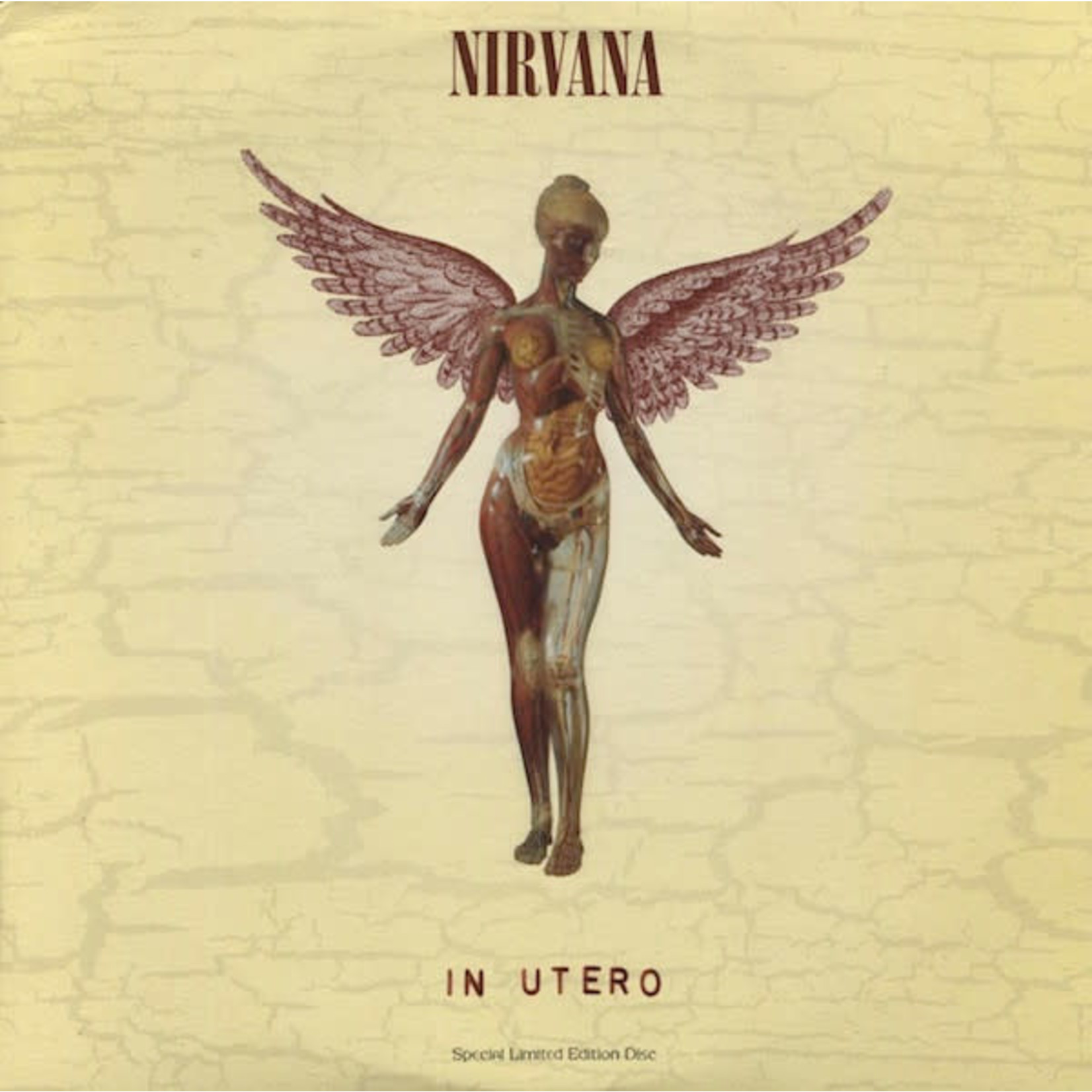[New] Nirvana - In Utero (180g,  yellow cover)