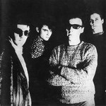 Television Personalities: The Painted Word [FIRE]