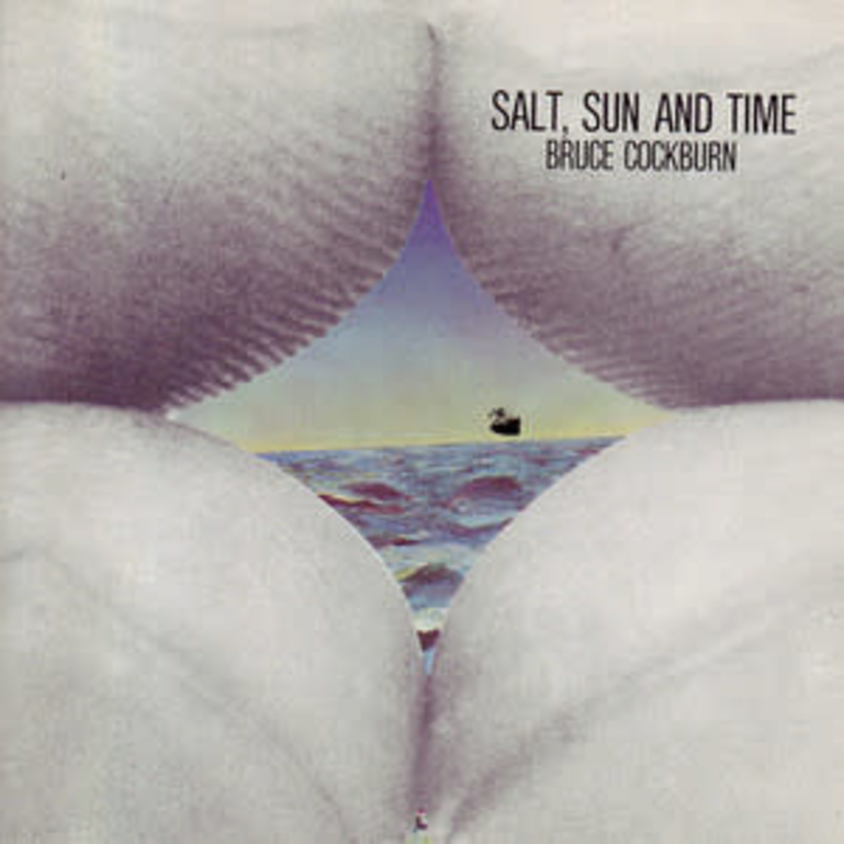 Cockburn, Bruce: Salt, Sun and Time [VINTAGE]