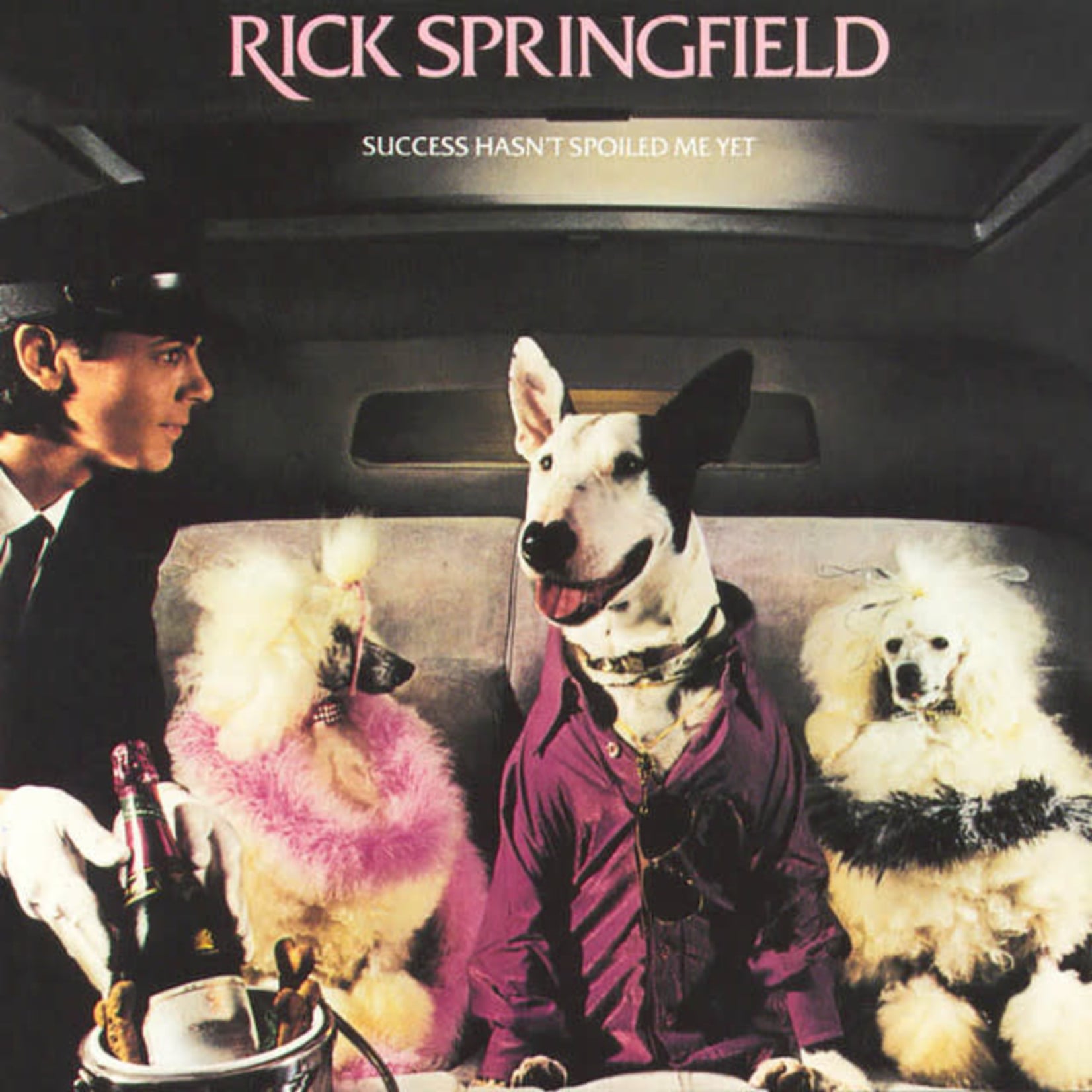 [Vintage Vinyl] Rick Springfield - Success Hasn't Spoiled Me Yet