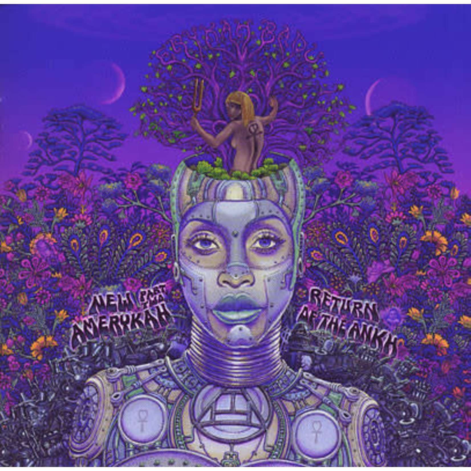[New Vinyl] Erykah Badu - New Amerykah Part Two - Return of The Ankh (2LP, purple vinyl)