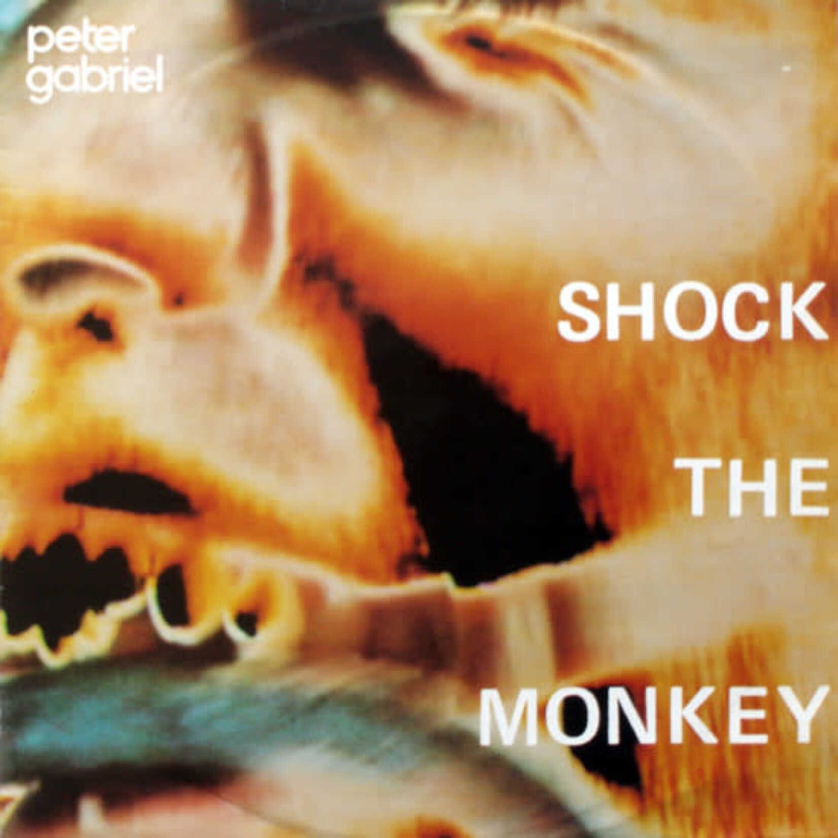 [Vintage] Peter Gabriel - Shock the Monkey (12")