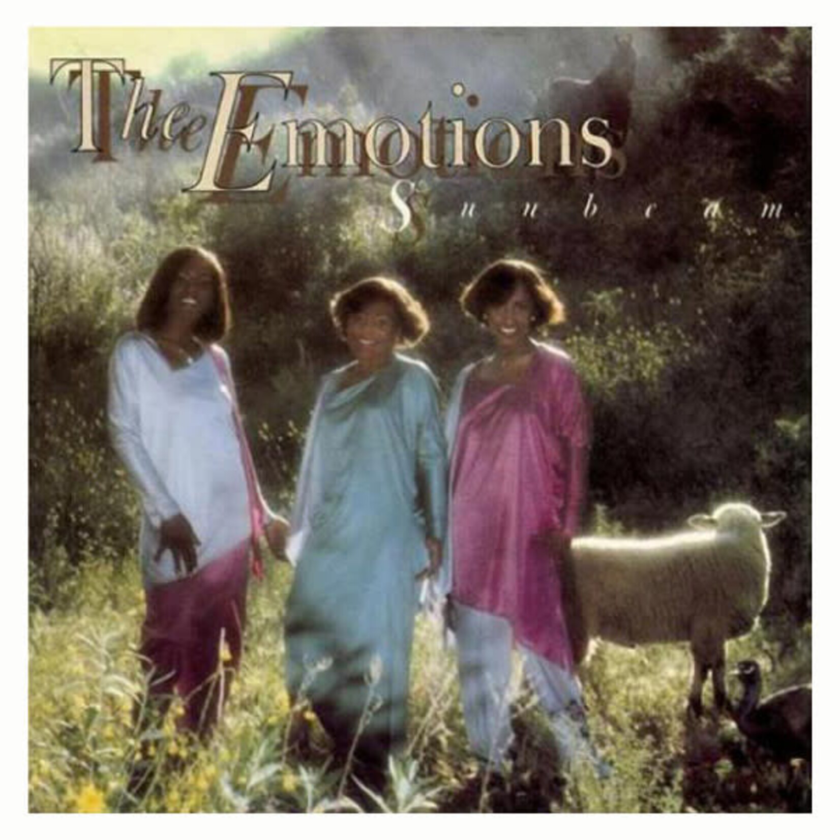 [Vintage Vinyl] Emotions - Sunbeam