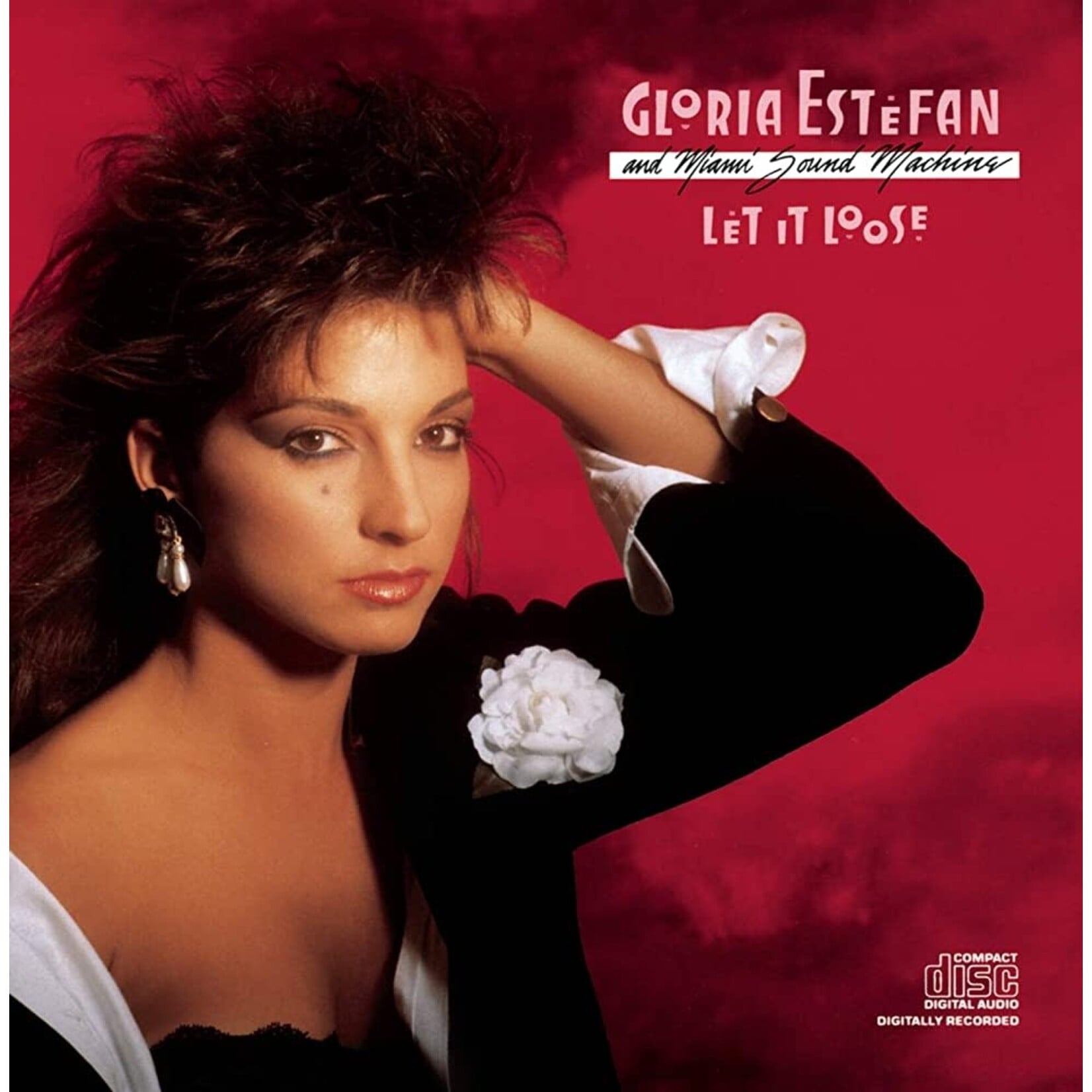 [Vintage Vinyl] Gloria Estefan - Let It Loose
