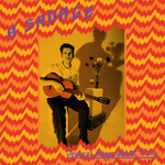 [New Vinyl] A. Savage (Parquet Courts) - Several Songs About Fire