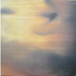 [Vintage Vinyl] New Order - State of the Nation (12")