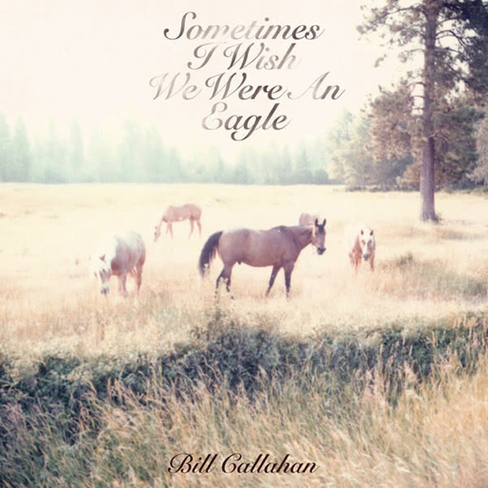 [New Vinyl] Bill Callahan - Sometimes I Wish We Were an Eagle