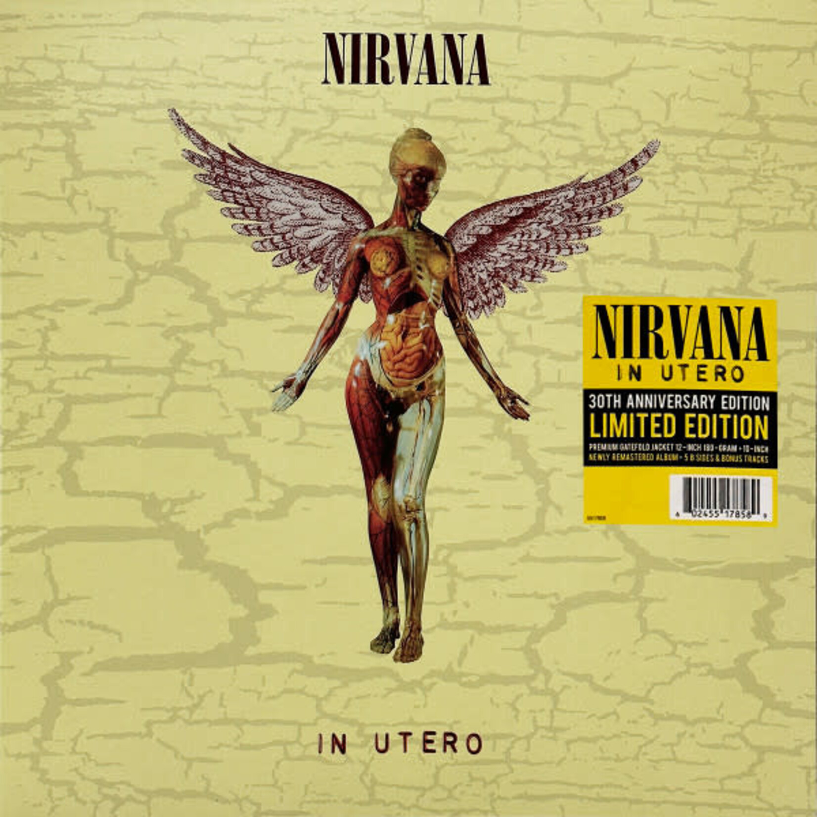 [New] Nirvana - In Utero (LP+10", 30th Anniversary, 180g, w/bonus 10")