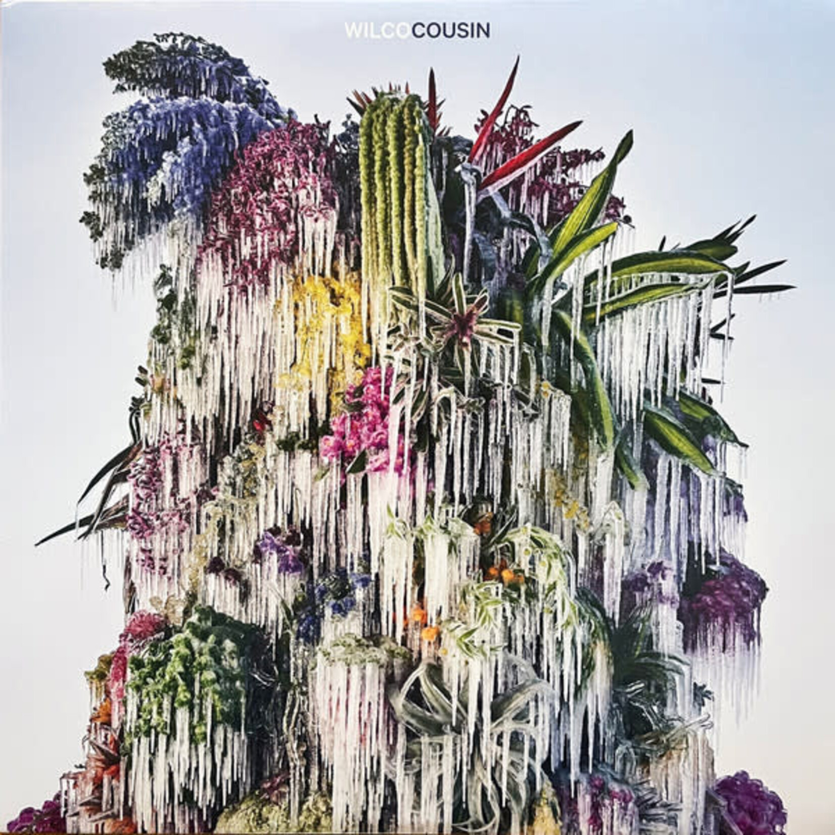 [New Vinyl] Wilco - Cousin